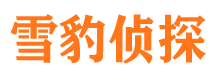 江北区找人公司